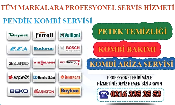 Pendik Kombi Servisi
