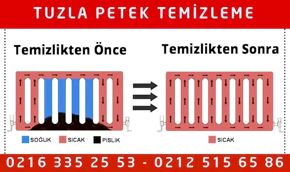 Tuzla Petek Temizleme