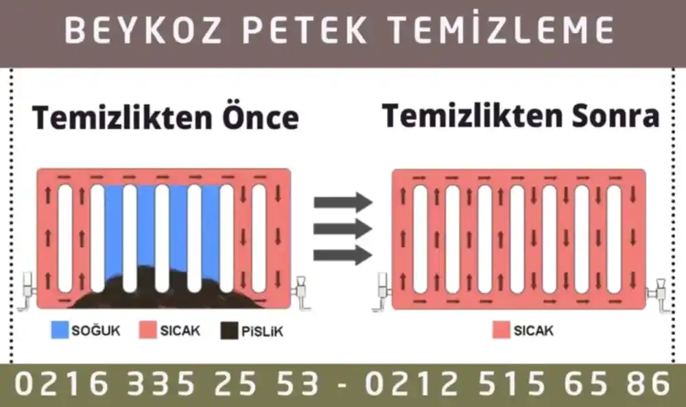Beykoz Petek Temizleme