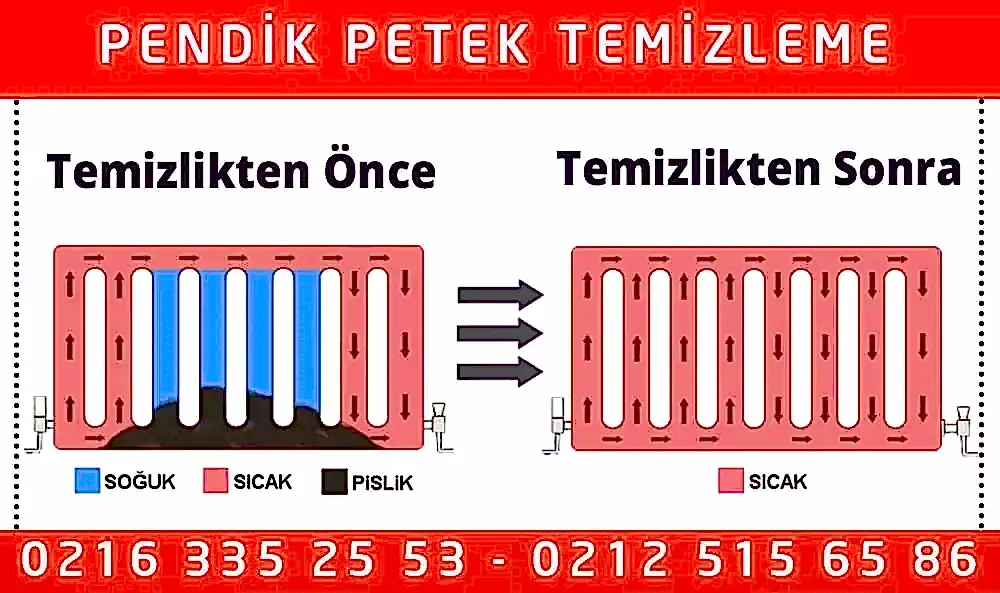 Pendik Petek Temizleme
