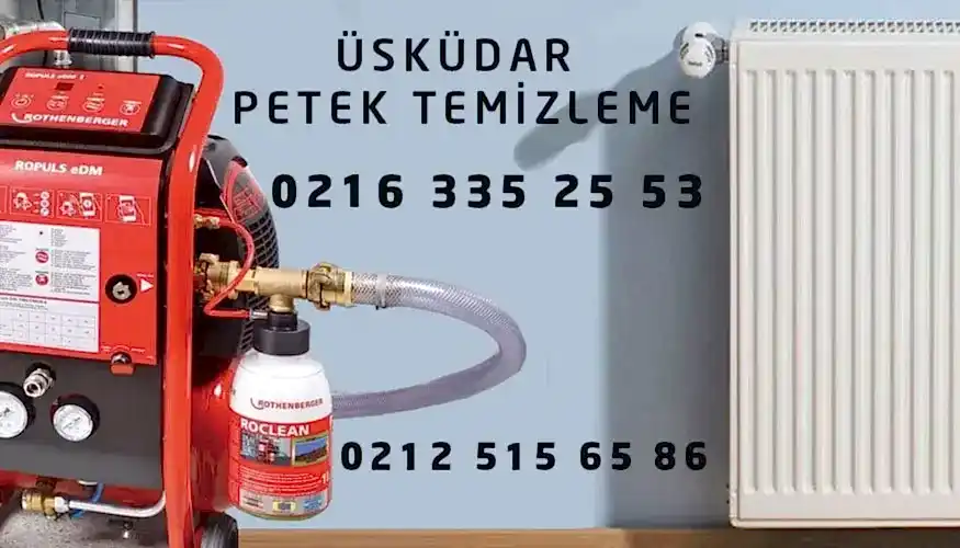 Üsküdar Petek Temizleme