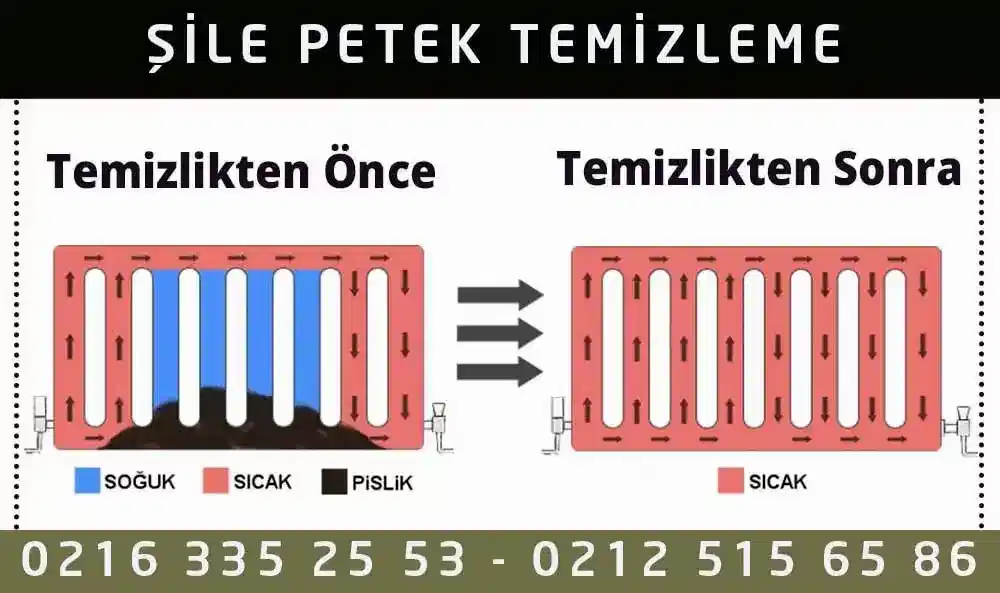 Şile Petek Temizleme